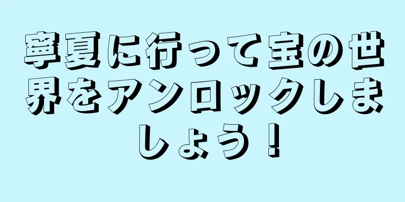 寧夏に行って宝の世界をアンロックしましょう！