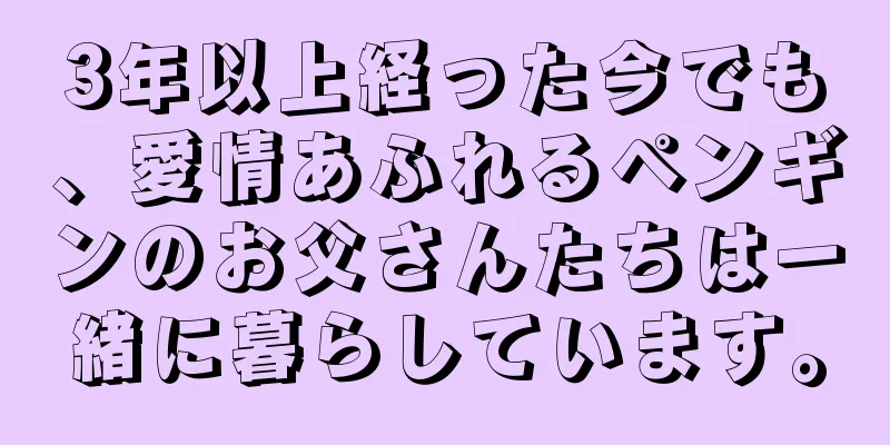 3年以上経った今でも、愛情あふれるペンギンのお父さんたちは一緒に暮らしています。