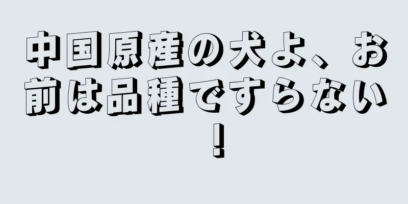 中国原産の犬よ、お前は品種ですらない！