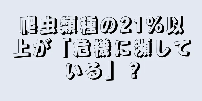 爬虫類種の21%以上が「危機に瀕している」？
