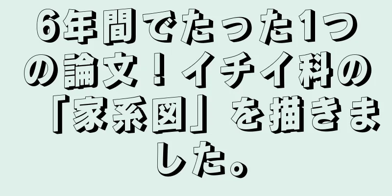 6年間でたった1つの論文！イチイ科の「家系図」を描きました。