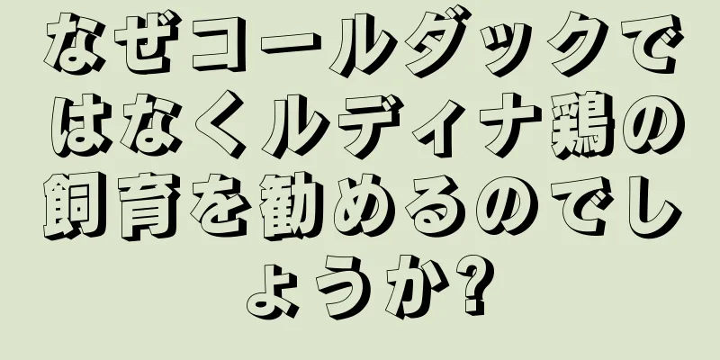 なぜコールダックではなくルディナ鶏の飼育を勧めるのでしょうか?
