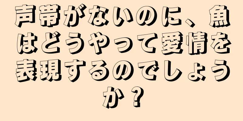 声帯がないのに、魚はどうやって愛情を表現するのでしょうか？