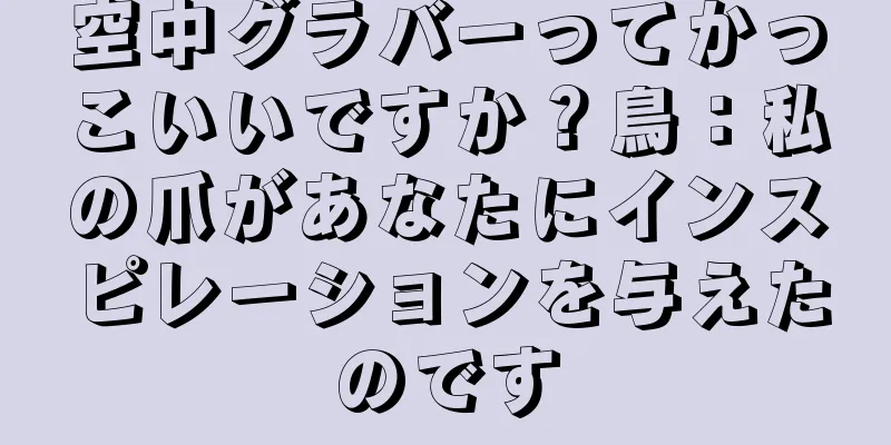 空中グラバーってかっこいいですか？鳥：私の爪があなたにインスピレーションを与えたのです