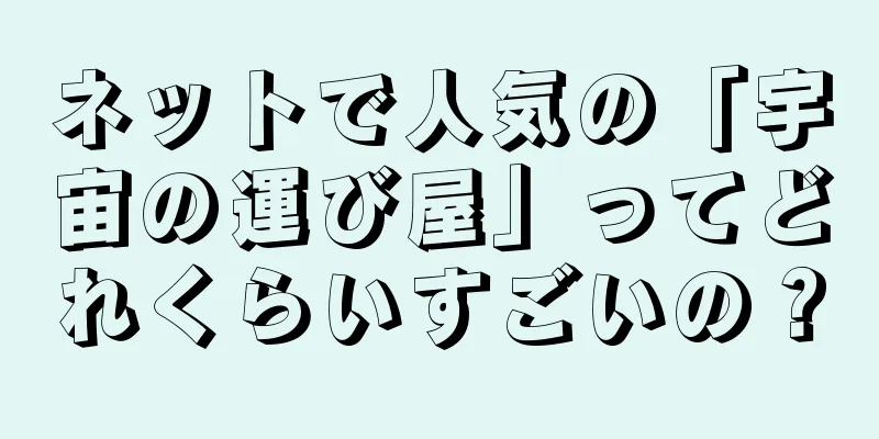 ネットで人気の「宇宙の運び屋」ってどれくらいすごいの？