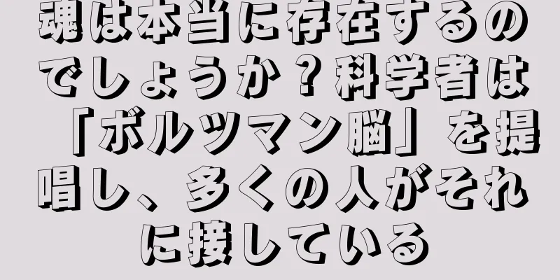 魂は本当に存在するのでしょうか？科学者は「ボルツマン脳」を提唱し、多くの人がそれに接している