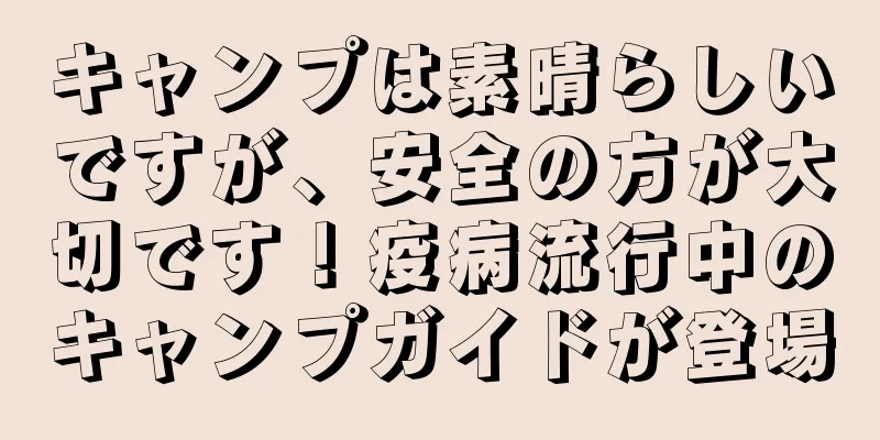 キャンプは素晴らしいですが、安全の方が大切です！疫病流行中のキャンプガイドが登場