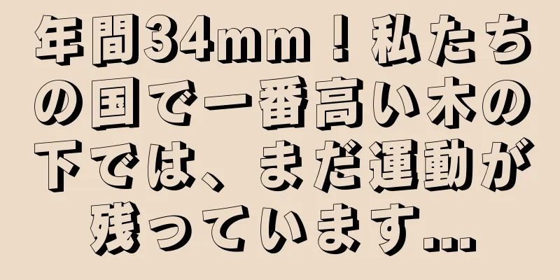 年間34mm！私たちの国で一番高い木の下では、まだ運動が残っています...