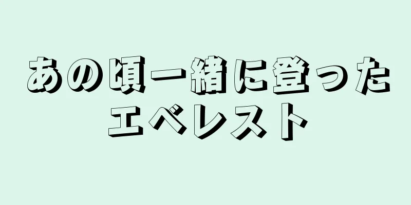 あの頃一緒に登ったエベレスト