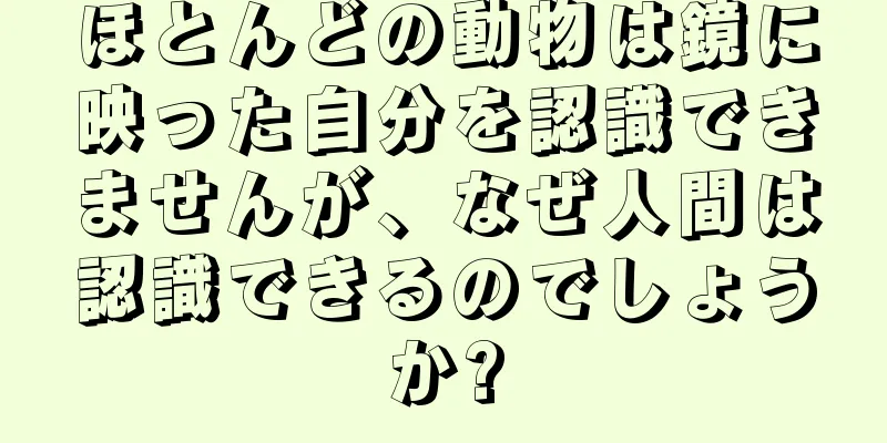 ほとんどの動物は鏡に映った自分を認識できませんが、なぜ人間は認識できるのでしょうか?