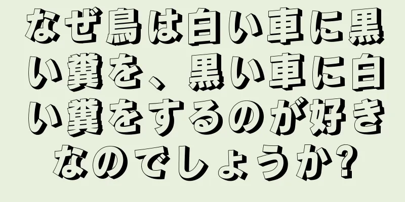 なぜ鳥は白い車に黒い糞を、黒い車に白い糞をするのが好きなのでしょうか?