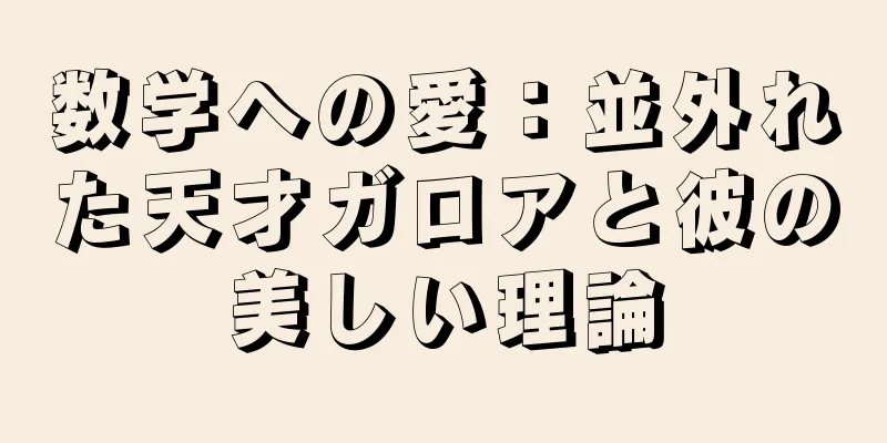 数学への愛：並外れた天才ガロアと彼の美しい理論