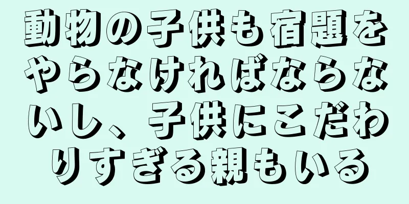 動物の子供も宿題をやらなければならないし、子供にこだわりすぎる親もいる