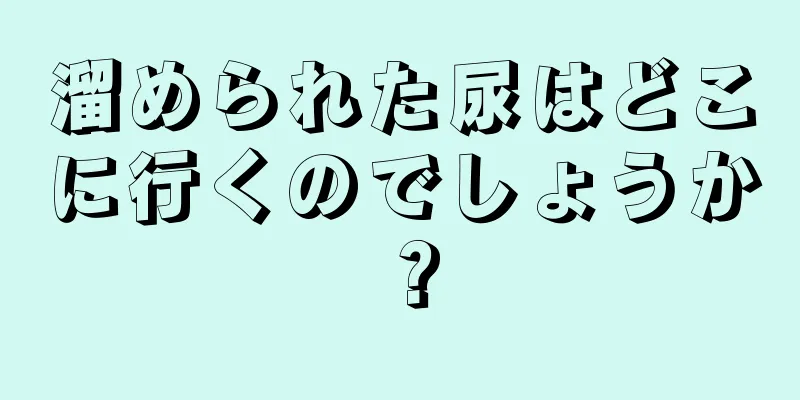 溜められた尿はどこに行くのでしょうか？