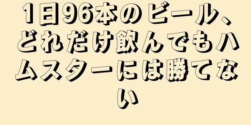 1日96本のビール、どれだけ飲んでもハムスターには勝てない