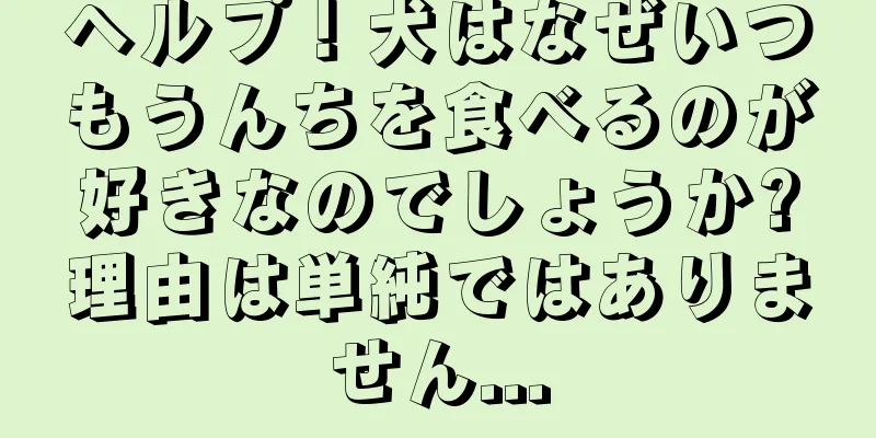 ヘルプ！犬はなぜいつもうんちを食べるのが好きなのでしょうか?理由は単純ではありません...