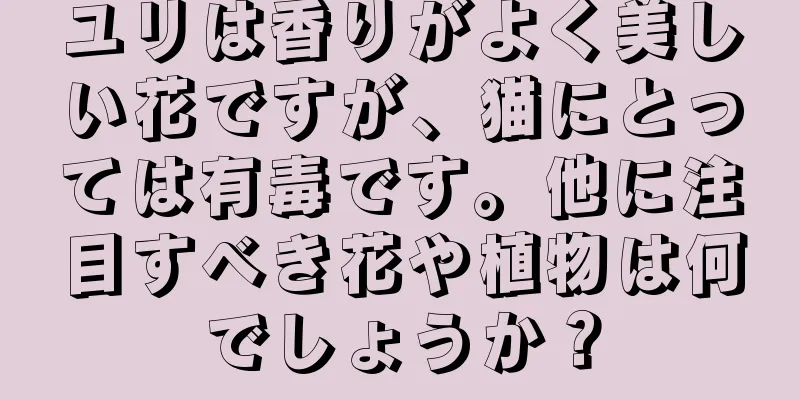 ユリは香りがよく美しい花ですが、猫にとっては有毒です。他に注目すべき花や植物は何でしょうか？