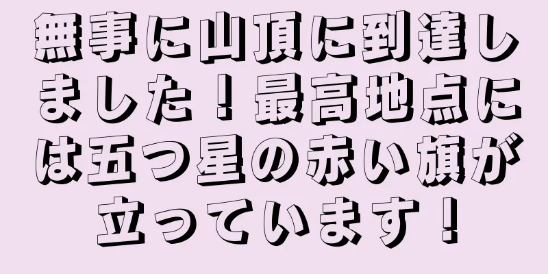 無事に山頂に到達しました！最高地点には五つ星の赤い旗が立っています！