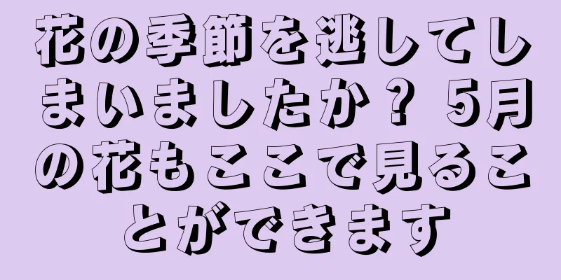 花の季節を逃してしまいましたか？ 5月の花もここで見ることができます