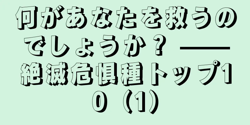 何があなたを救うのでしょうか？ ——絶滅危惧種トップ10（1）