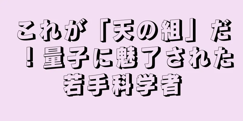 これが「天の組」だ！量子に魅了された若手科学者
