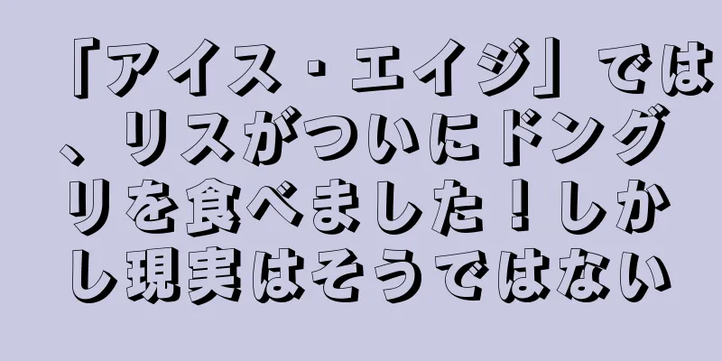 「アイス・エイジ」では、リスがついにドングリを食べました！しかし現実はそうではない