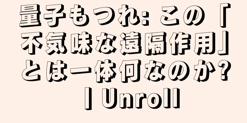 量子もつれ: この「不気味な遠隔作用」とは一体何なのか?丨Unroll
