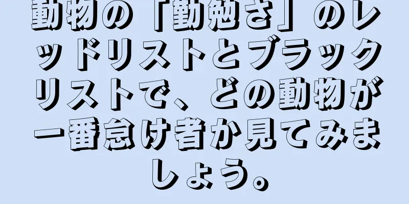 動物の「勤勉さ」のレッドリストとブラックリストで、どの動物が一番怠け者か見てみましょう。