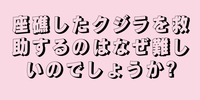 座礁したクジラを救助するのはなぜ難しいのでしょうか?