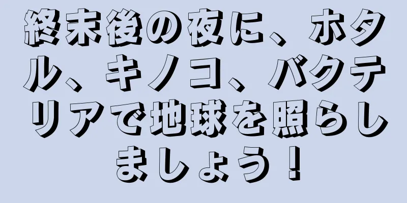 終末後の夜に、ホタル、キノコ、バクテリアで地球を照らしましょう！