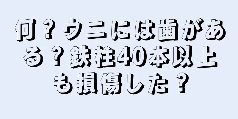 何？ウニには歯がある？鉄柱40本以上も損傷した？