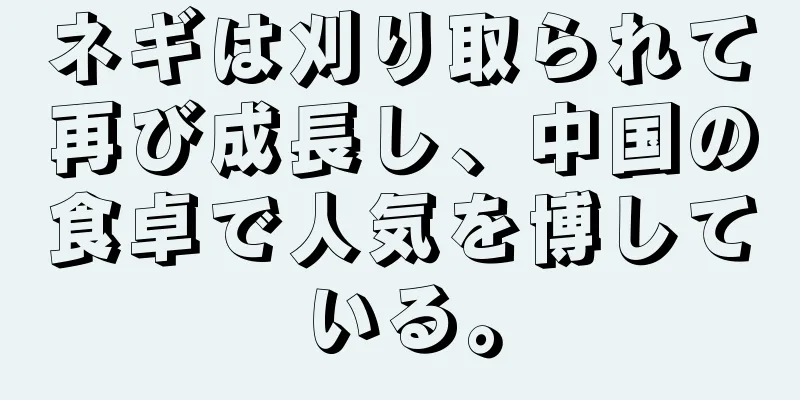 ネギは刈り取られて再び成長し、中国の食卓で人気を博している。