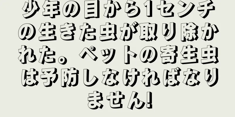 少年の目から1センチの生きた虫が取り除かれた。ペットの寄生虫は予防しなければなりません!