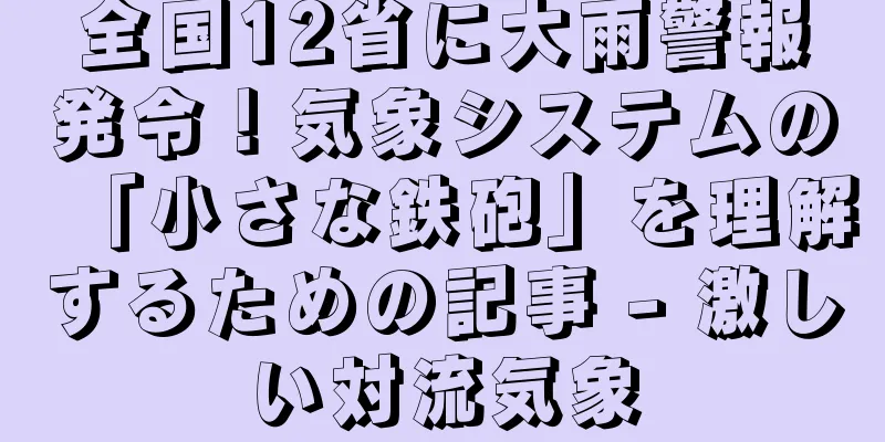 全国12省に大雨警報発令！気象システムの「小さな鉄砲」を理解するための記事 - 激しい対流気象