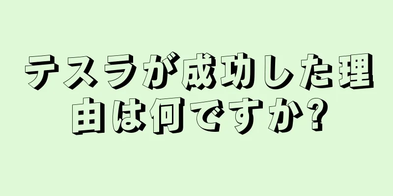 テスラが成功した理由は何ですか?