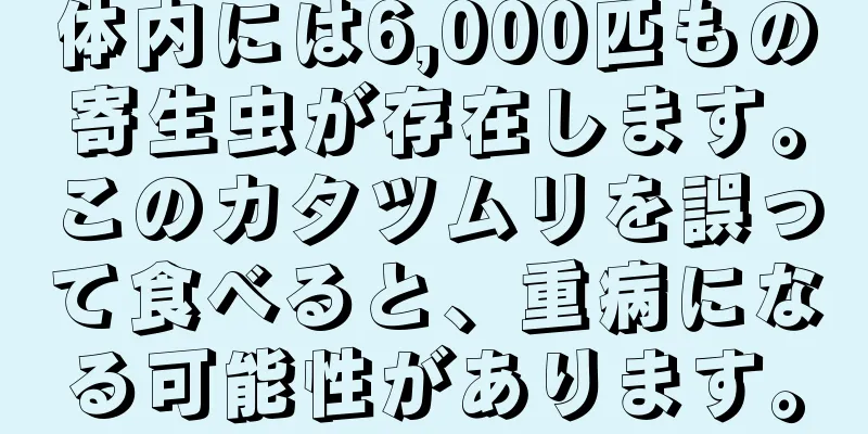 体内には6,000匹もの寄生虫が存在します。このカタツムリを誤って食べると、重病になる可能性があります。