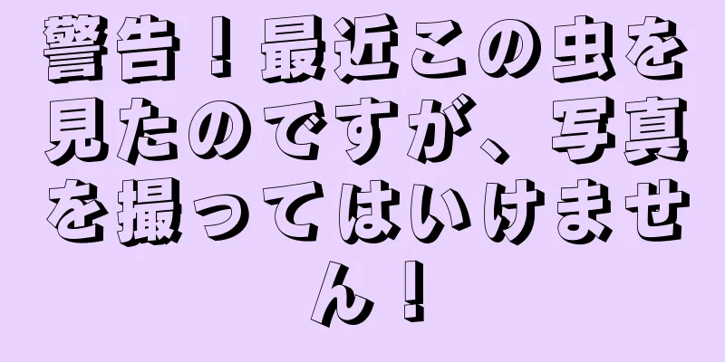 警告！最近この虫を見たのですが、写真を撮ってはいけません！