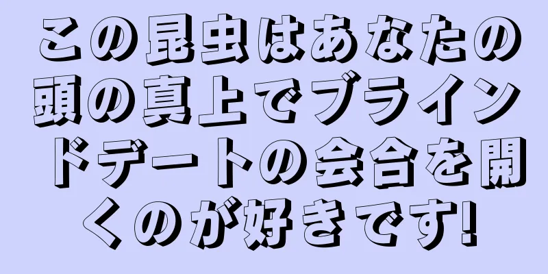 この昆虫はあなたの頭の真上でブラインドデートの会合を開くのが好きです!