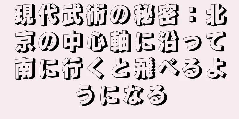現代武術の秘密：北京の中心軸に沿って南に行くと飛べるようになる