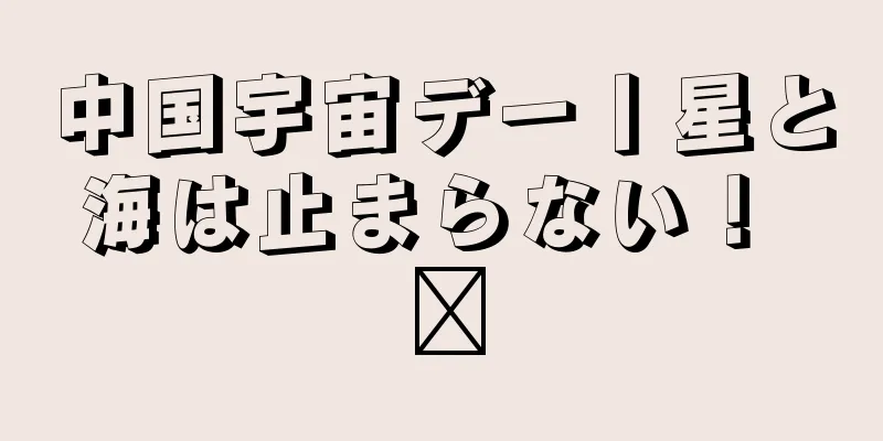 中国宇宙デー丨星と海は止まらない！ ​