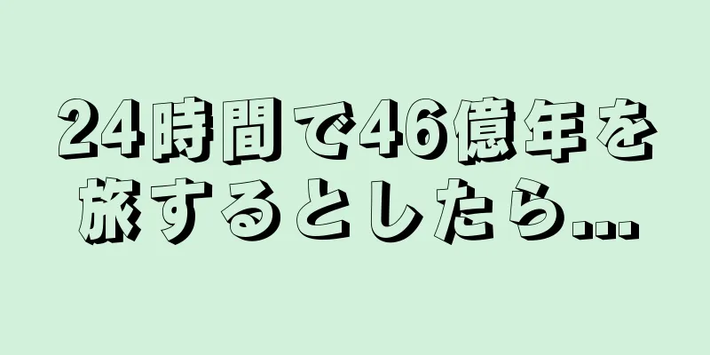 24時間で46億年を旅するとしたら...