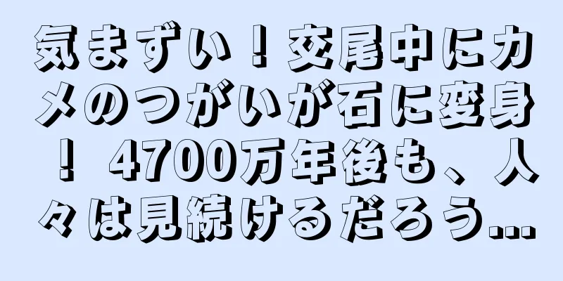 気まずい！交尾中にカメのつがいが石に変身！ 4700万年後も、人々は見続けるだろう...