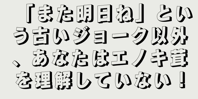 「また明日ね」という古いジョーク以外、あなたはエノキ茸を理解していない！