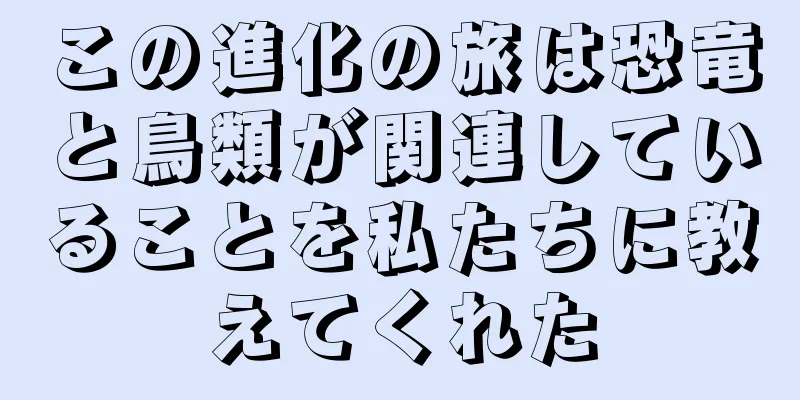 この進化の旅は恐竜と鳥類が関連していることを私たちに教えてくれた