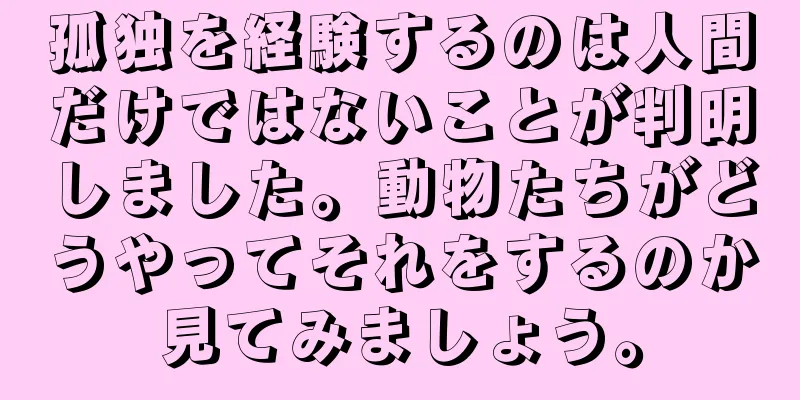 孤独を経験するのは人間だけではないことが判明しました。動物たちがどうやってそれをするのか見てみましょう。