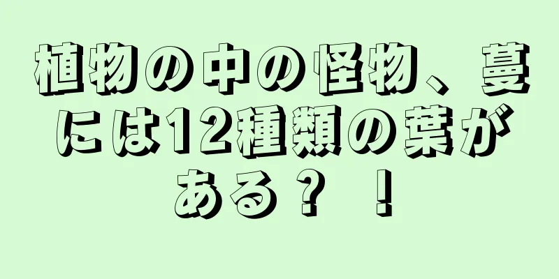 植物の中の怪物、蔓には12種類の葉がある？ ！