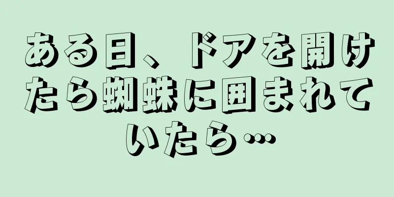 ある日、ドアを開けたら蜘蛛に囲まれていたら…