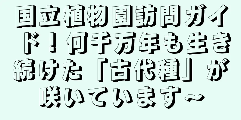 国立植物園訪問ガイド！何千万年も生き続けた「古代種」が咲いています～
