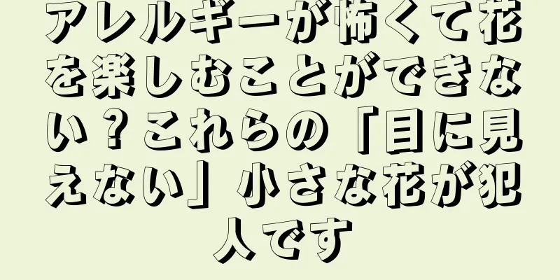 アレルギーが怖くて花を楽しむことができない？これらの「目に見えない」小さな花が犯人です
