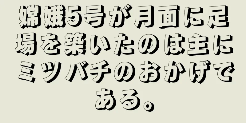 嫦娥5号が月面に足場を築いたのは主にミツバチのおかげである。